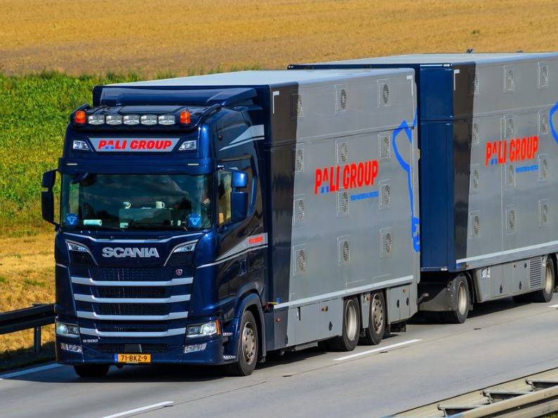 Klant Analyst ICT Pali Group