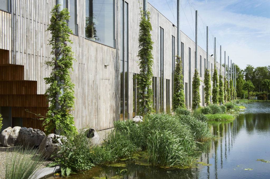 Klant Analyst ICT Oogenlust